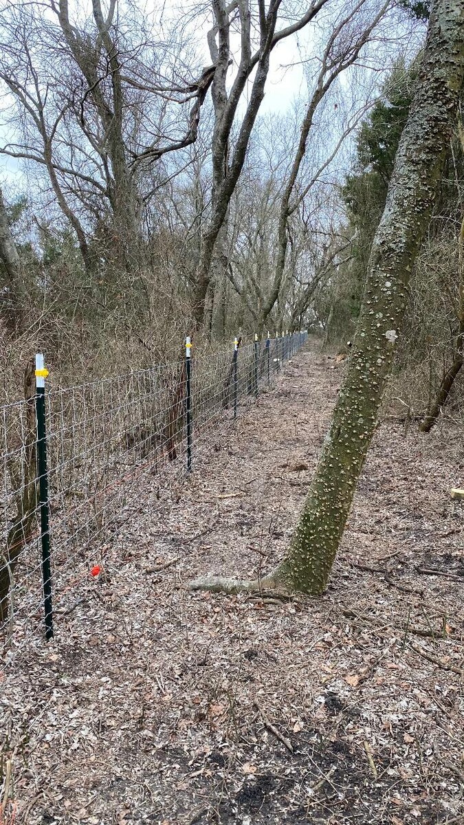 Images Freedom Fencing LLC