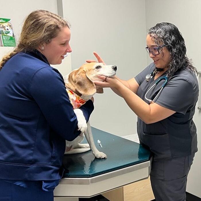 Images Southport Pet Wellness Clinic