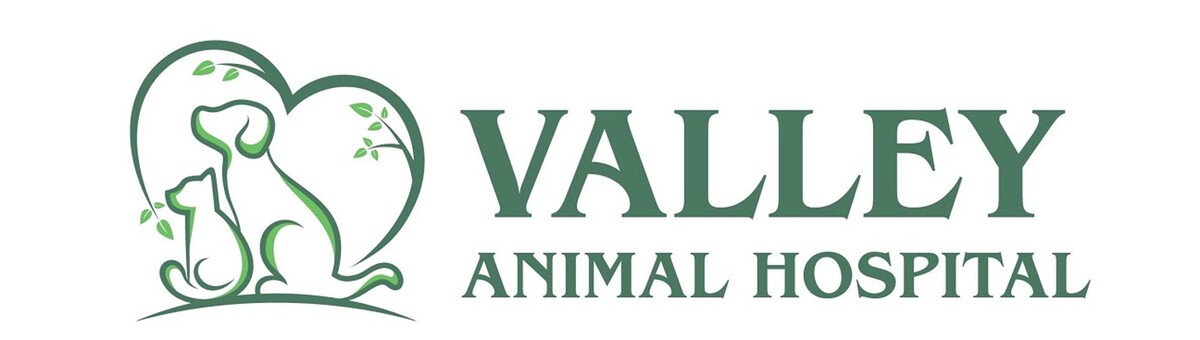 Images Valley Animal Hospital