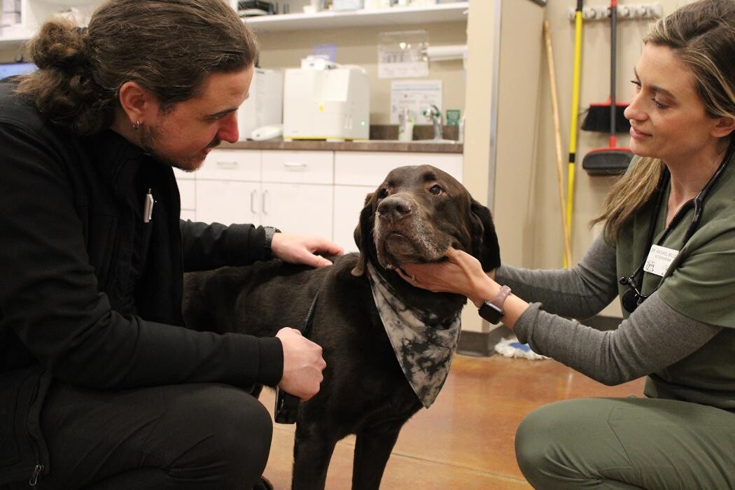 Images Valley Animal Hospital