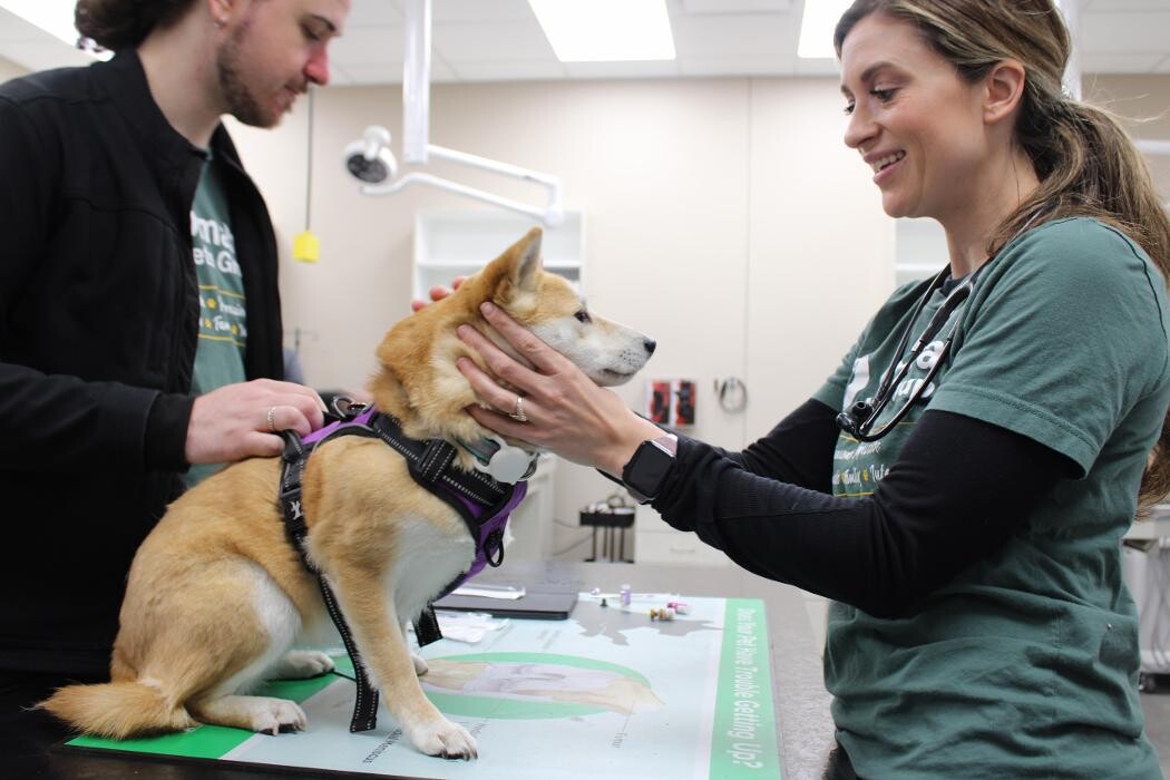 Images Valley Animal Hospital