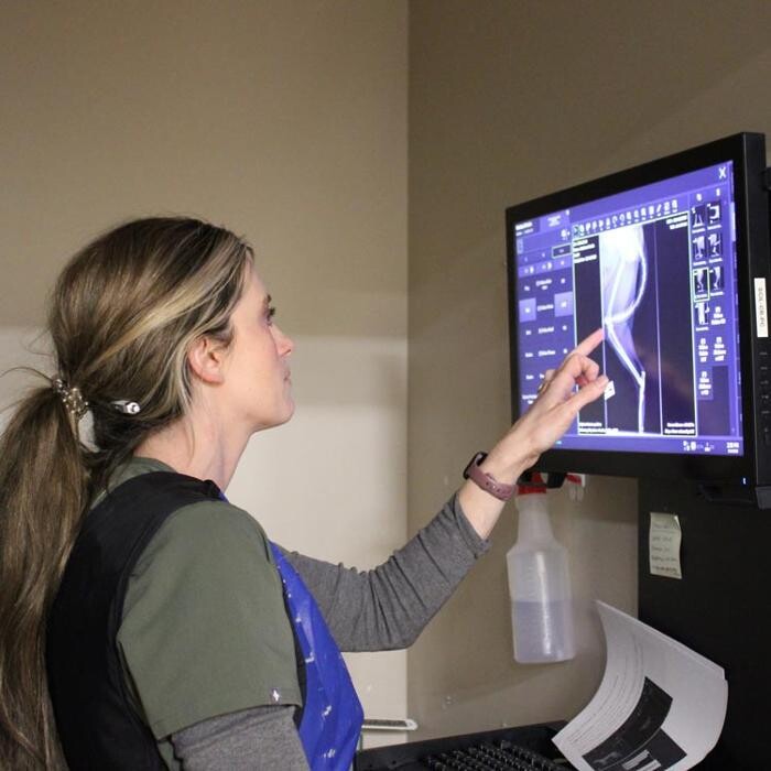 Images Valley Animal Hospital