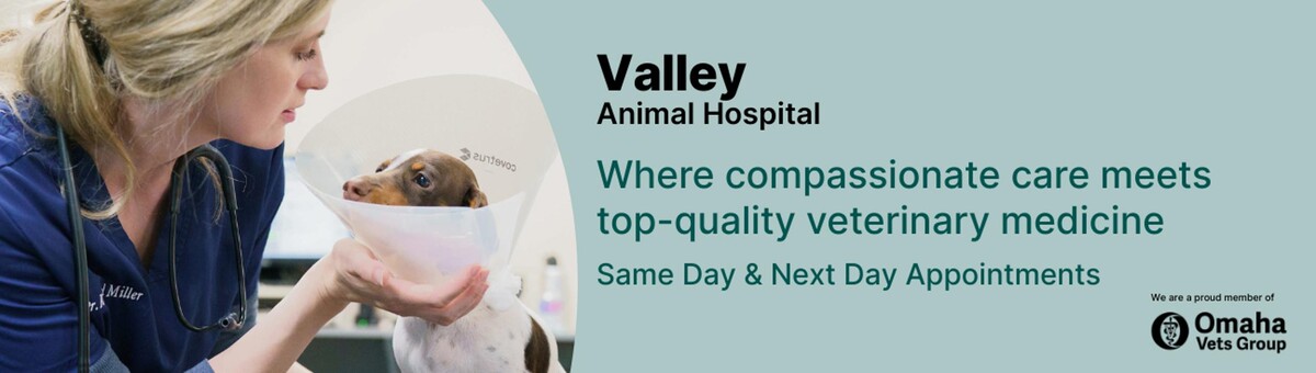 Images Valley Animal Hospital