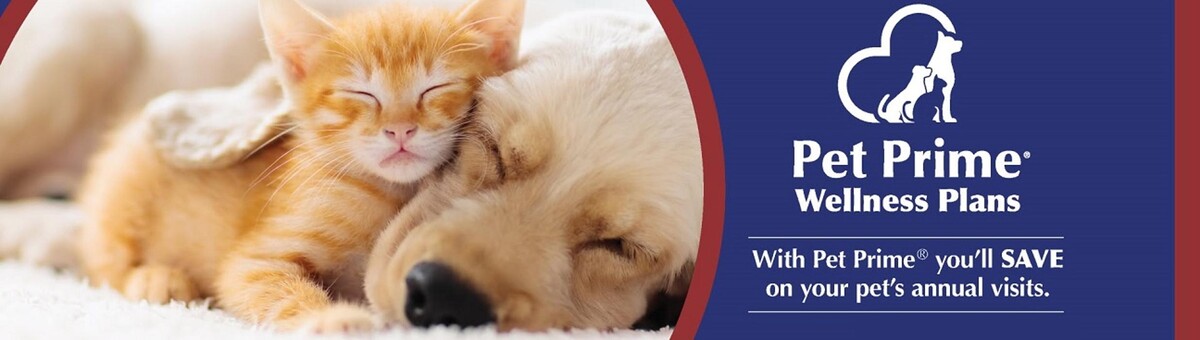 Images Rockdale Animal Hospital