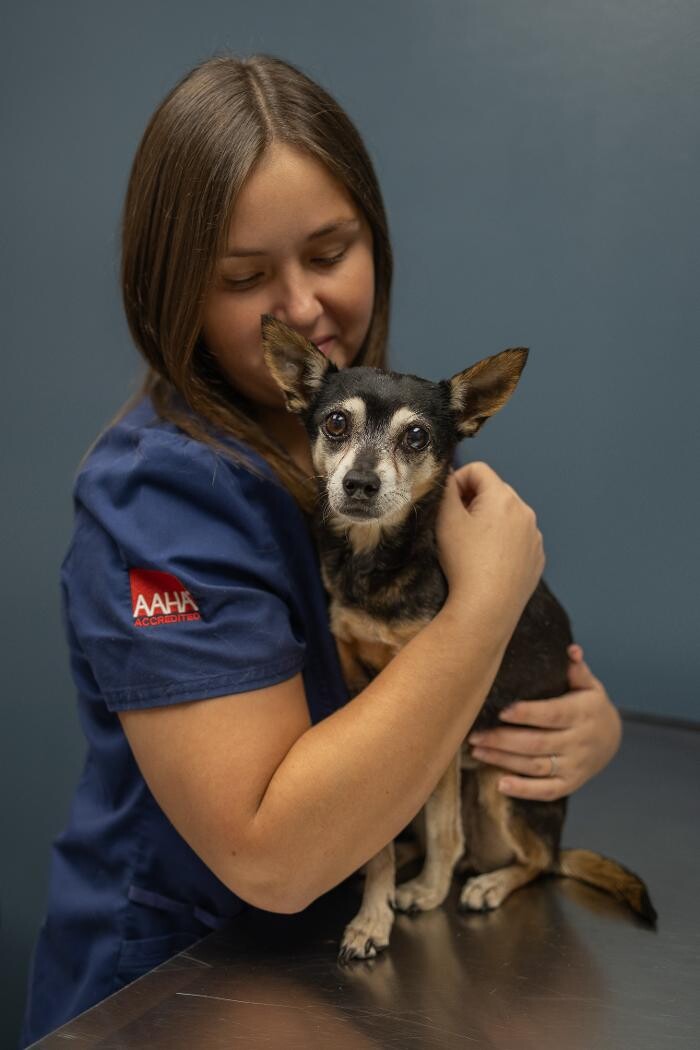 Images Rockdale Animal Hospital