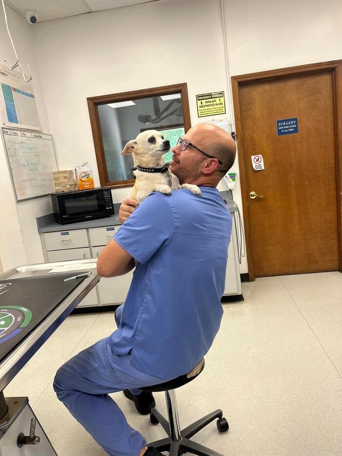 Images Rockdale Animal Hospital