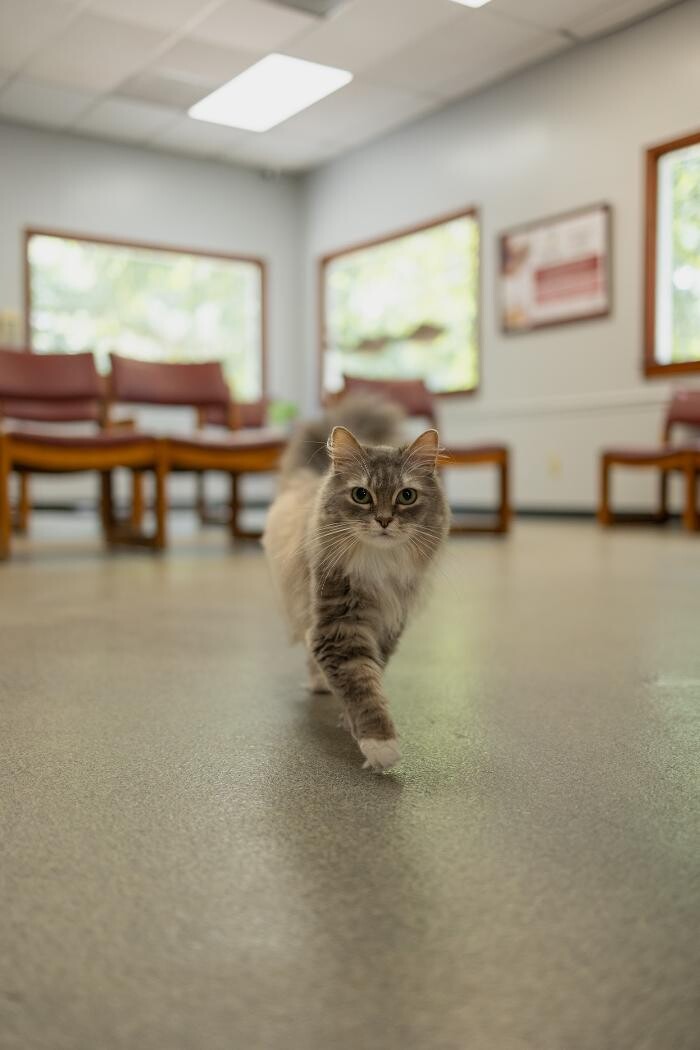 Images Rockdale Animal Hospital