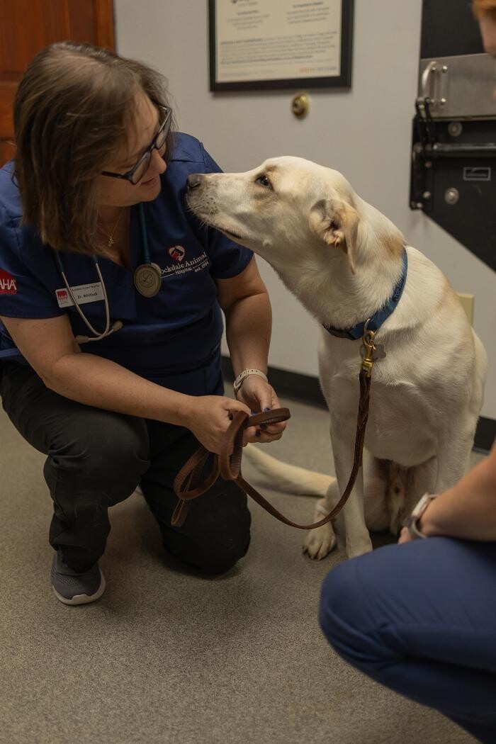 Images Rockdale Animal Hospital