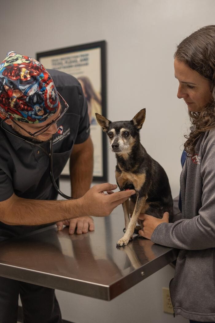 Images Rockdale Animal Hospital