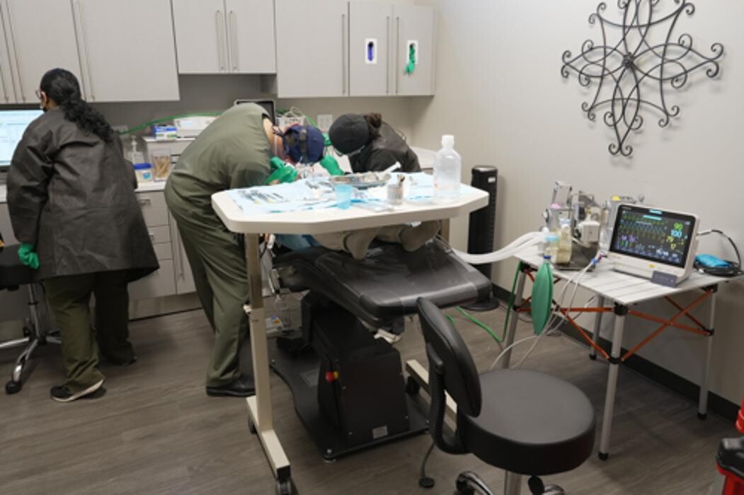 Images Harbor Anesthesia