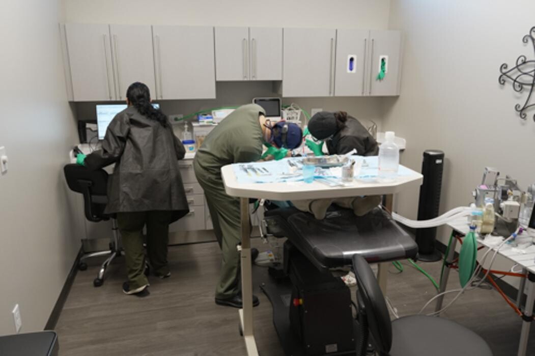 Images Harbor Anesthesia