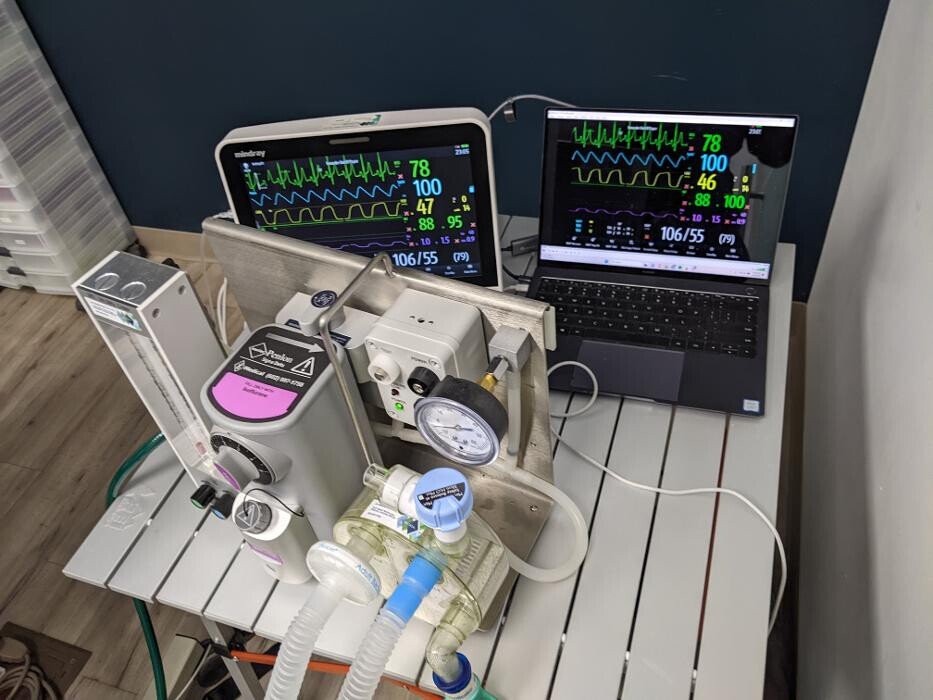 Images Harbor Anesthesia