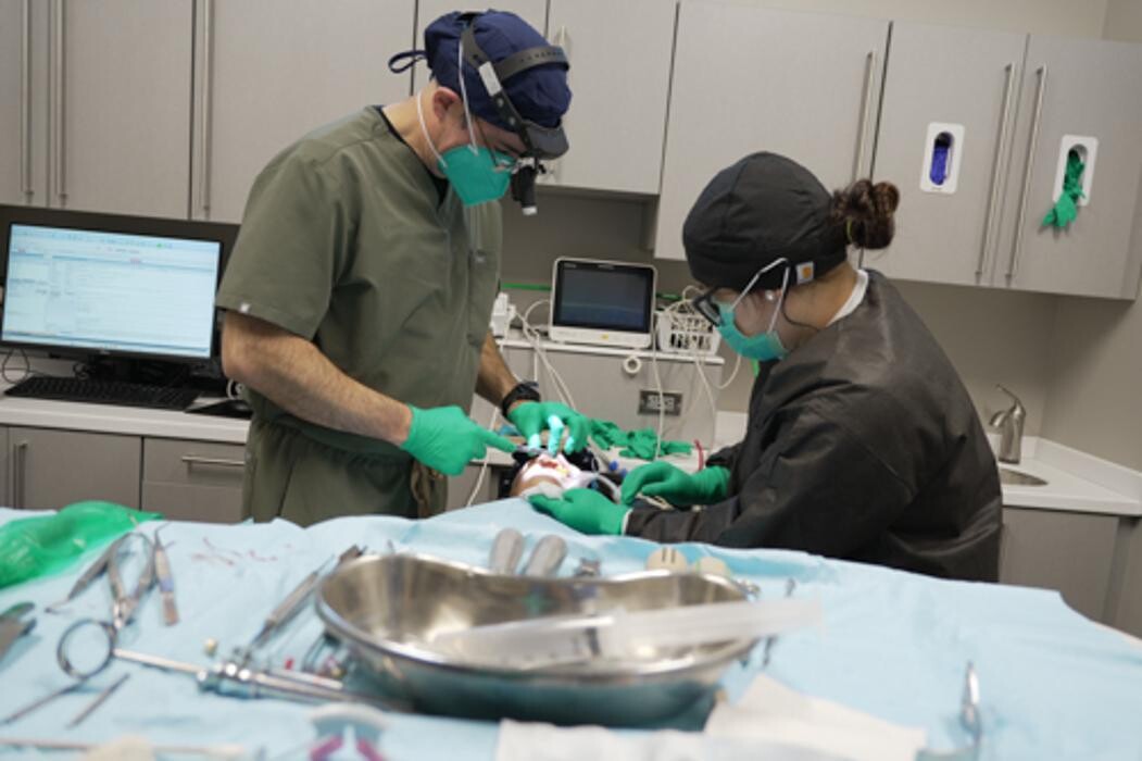 Images Harbor Anesthesia