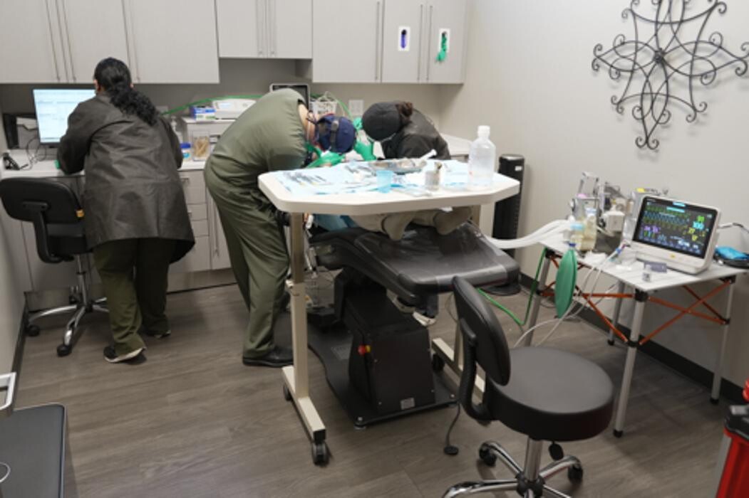 Images Harbor Anesthesia