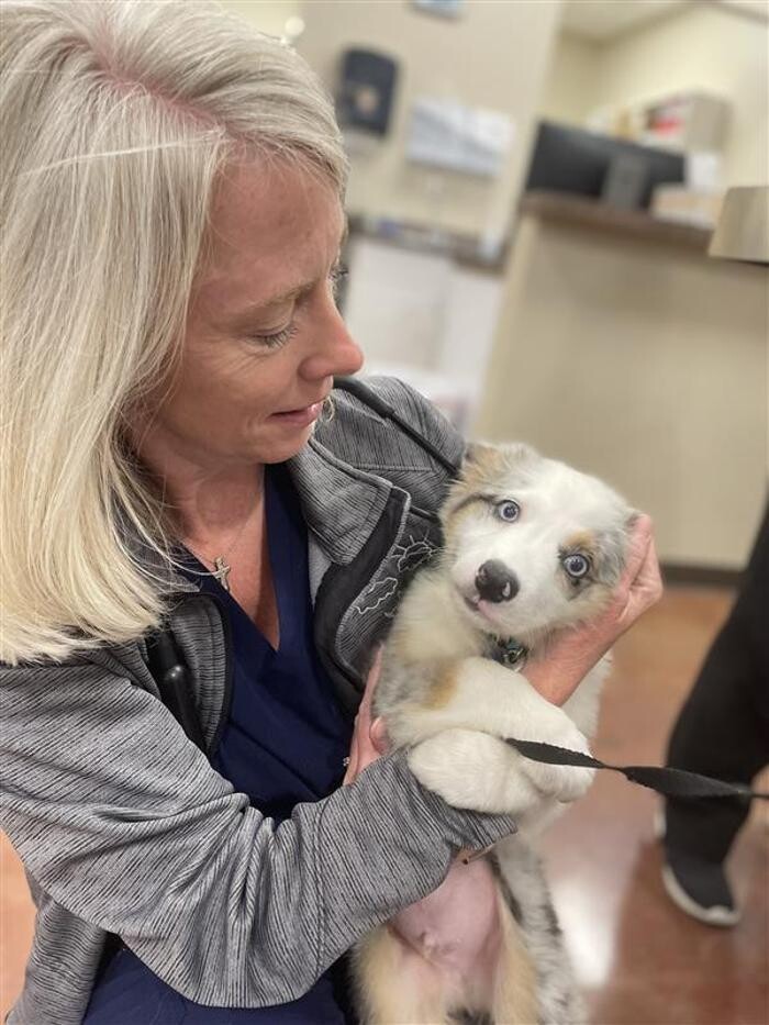 Images Skyline Veterinary Clinic