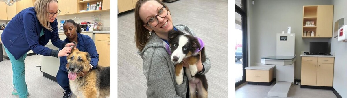 Images Avon Pet Wellness Clinic