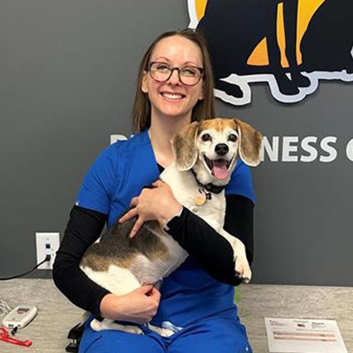 Images Avon Pet Wellness Clinic