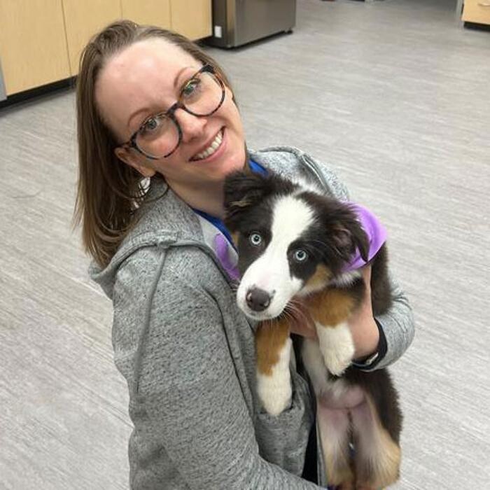 Images Avon Pet Wellness Clinic