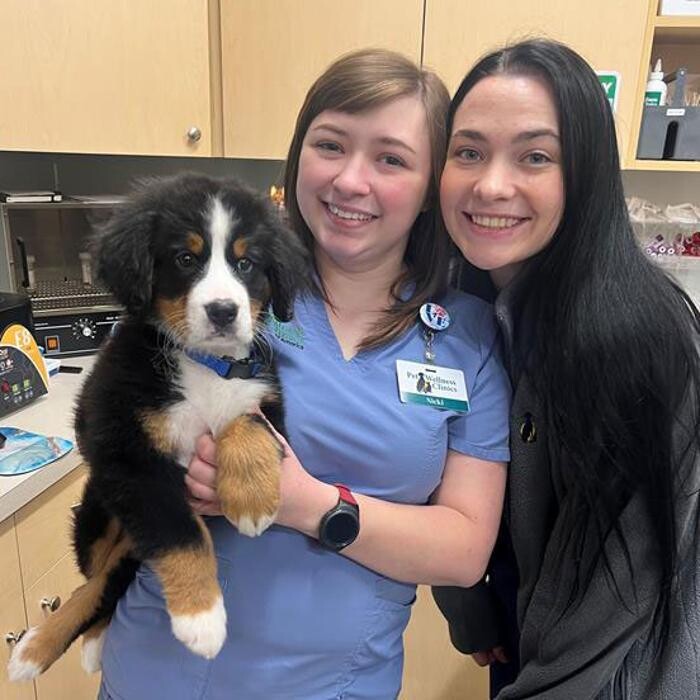 Images Carmel Pet Wellness Clinic