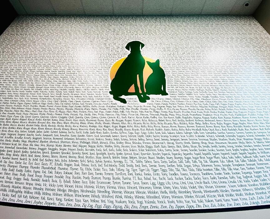Images Carmel Pet Wellness Clinic