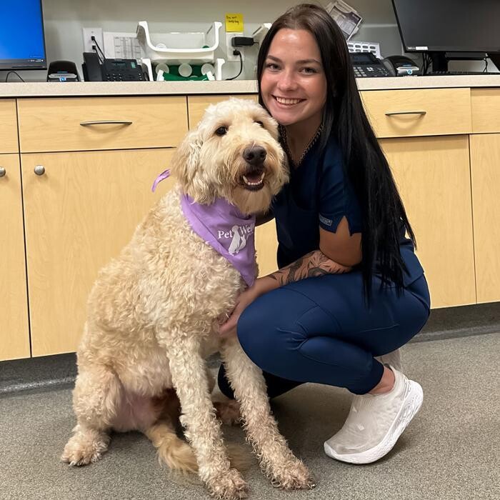 Images Carmel Pet Wellness Clinic