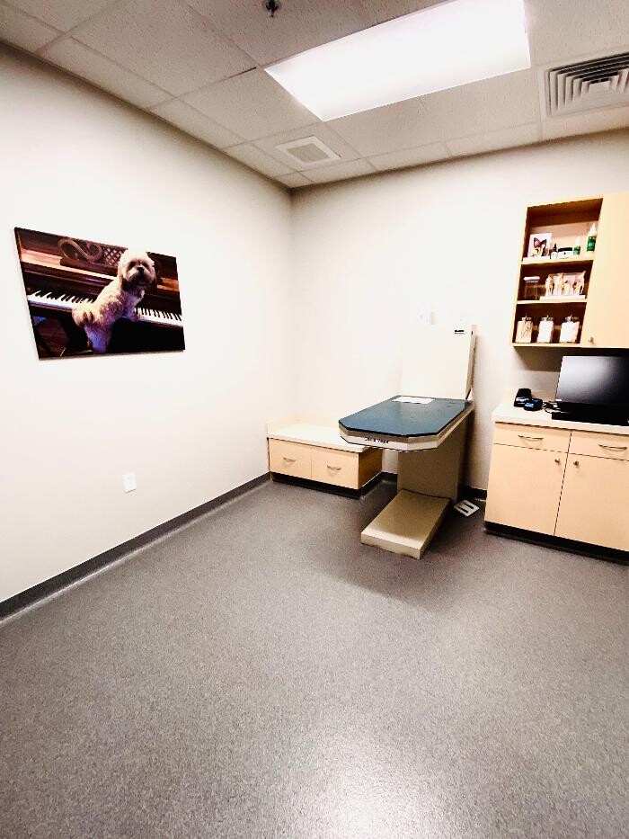 Images Carmel Pet Wellness Clinic