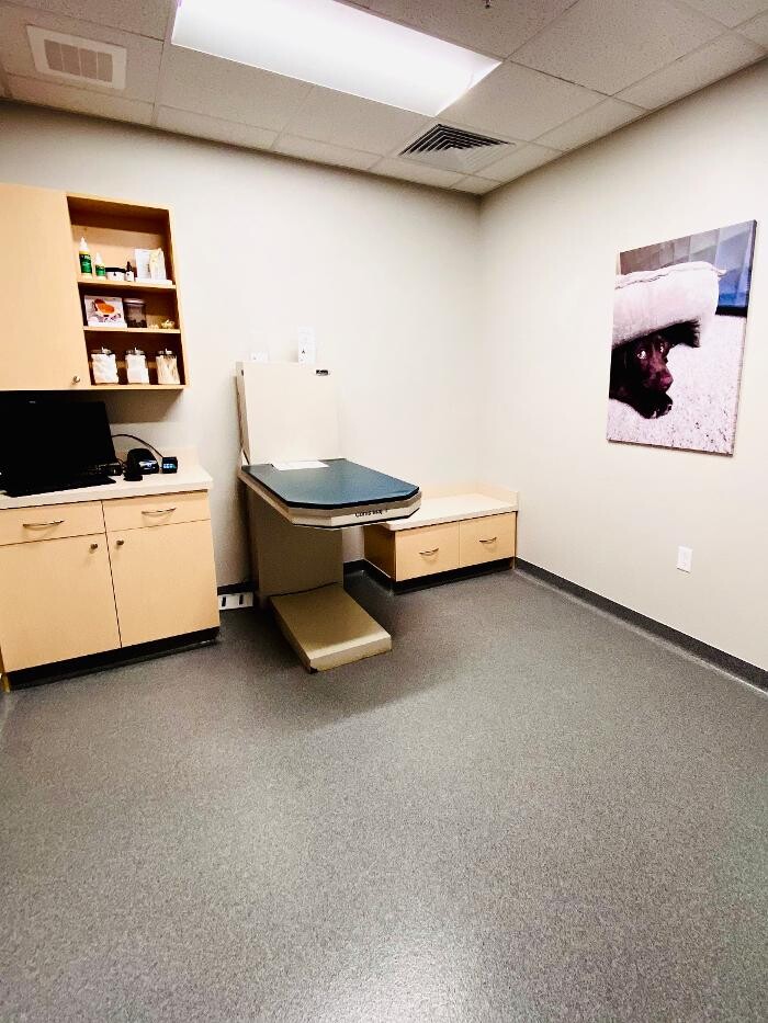 Images Carmel Pet Wellness Clinic