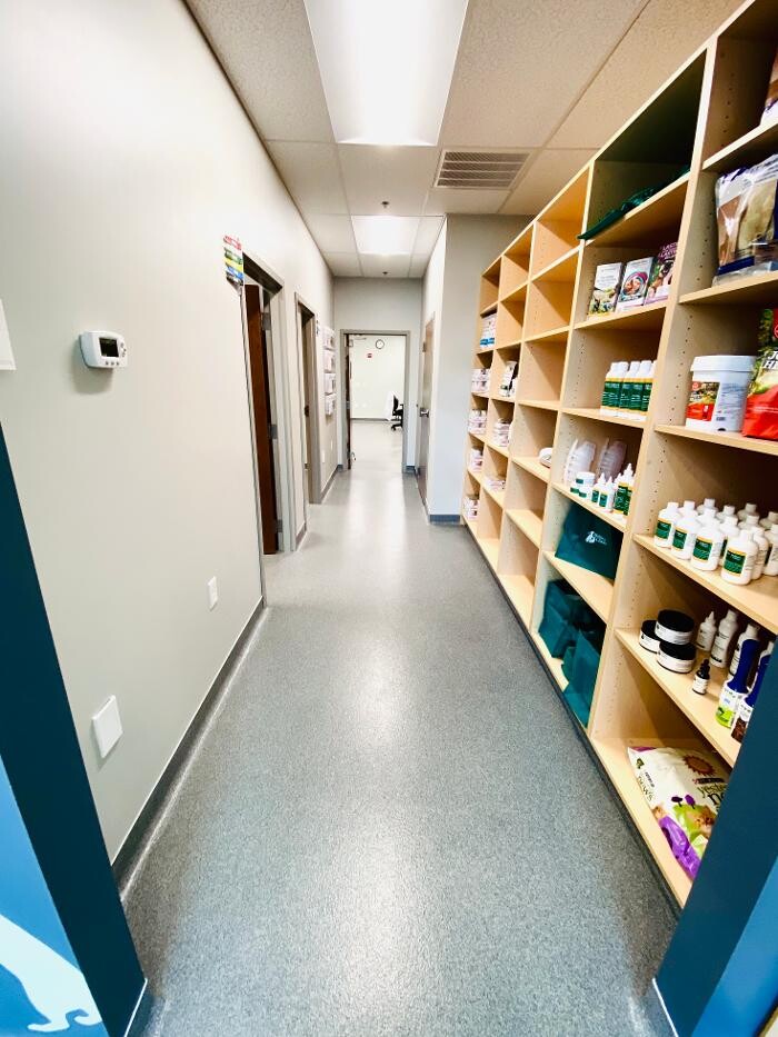 Images Carmel Pet Wellness Clinic