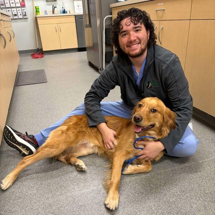 Images Broad Ripple Pet Wellness Clinic