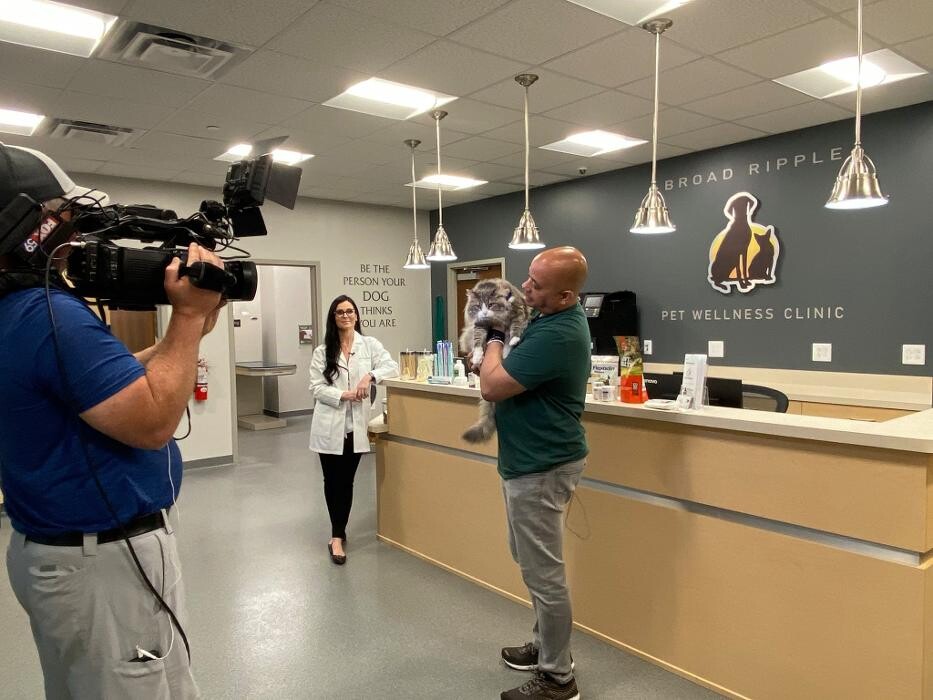 Images Broad Ripple Pet Wellness Clinic