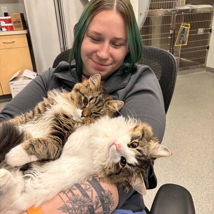 Images Broad Ripple Pet Wellness Clinic