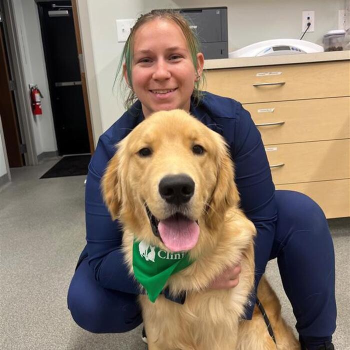 Images Broad Ripple Pet Wellness Clinic