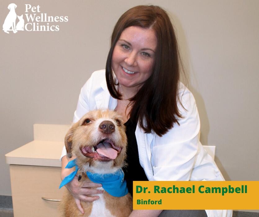 Images Binford Pet Wellness Clinic