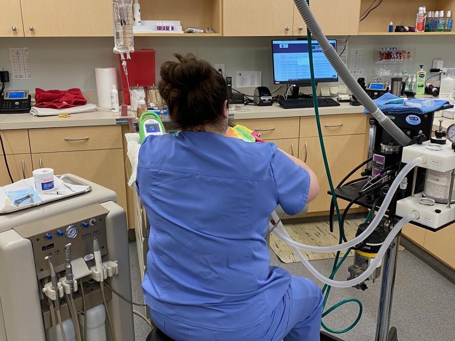 Images Binford Pet Wellness Clinic