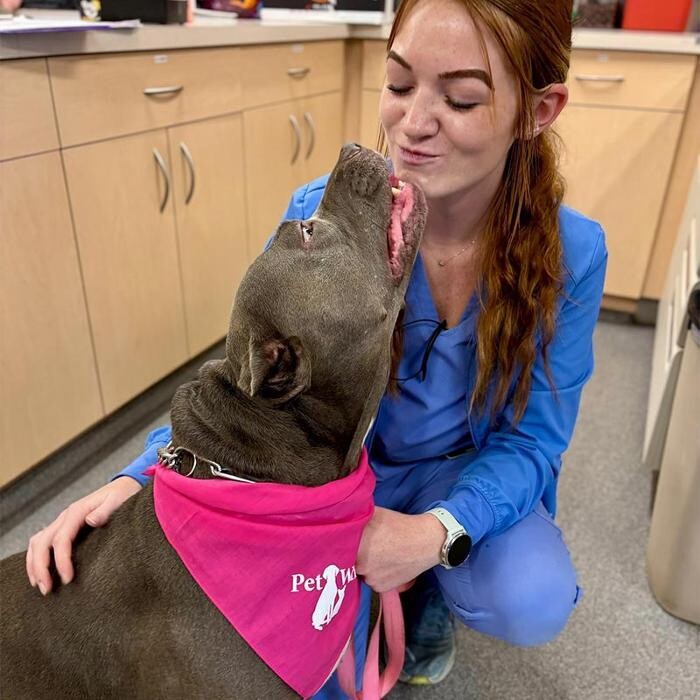 Images Binford Pet Wellness Clinic