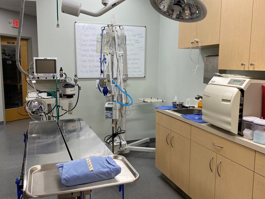 Images Binford Pet Wellness Clinic