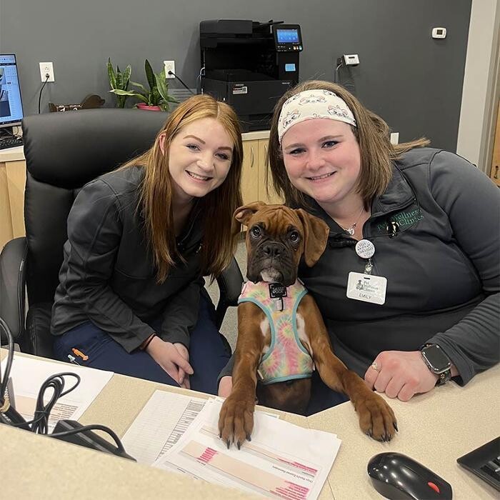 Images Binford Pet Wellness Clinic