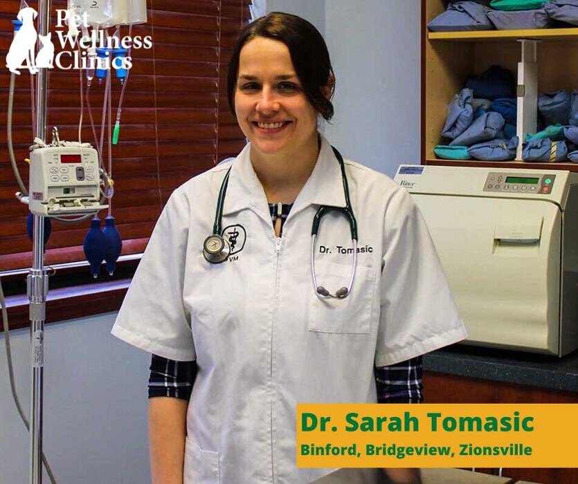 Images Binford Pet Wellness Clinic