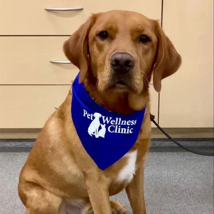 Images Binford Pet Wellness Clinic