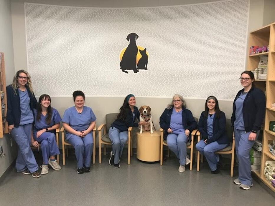 Images Binford Pet Wellness Clinic