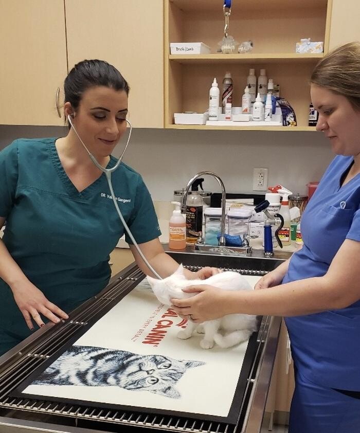 Images Binford Pet Wellness Clinic