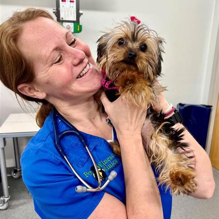 Images Binford Pet Wellness Clinic