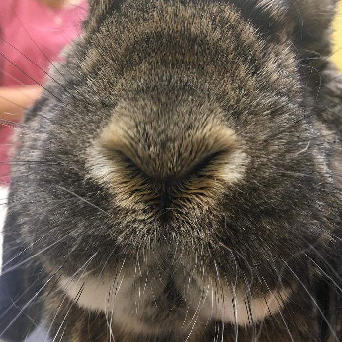 Images Cottner Creek Pet Clinic