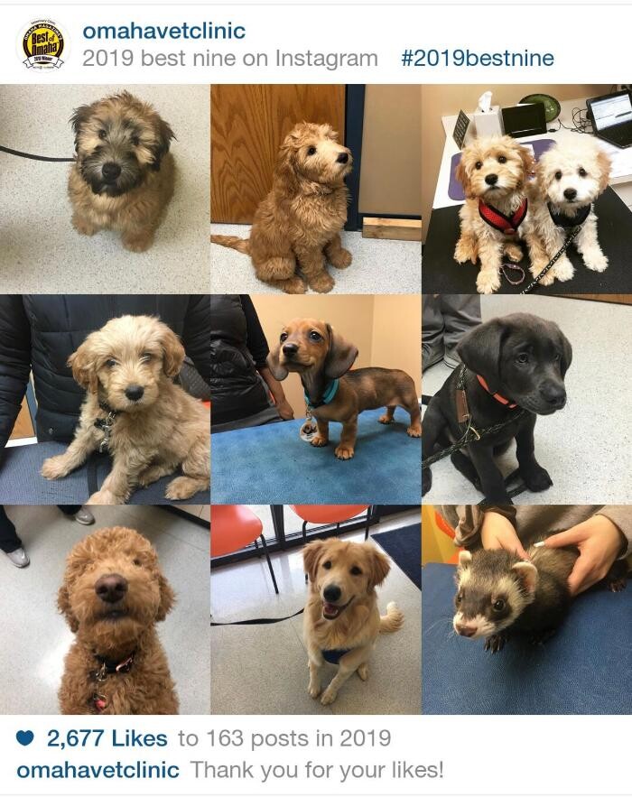 Images Cottner Creek Pet Clinic