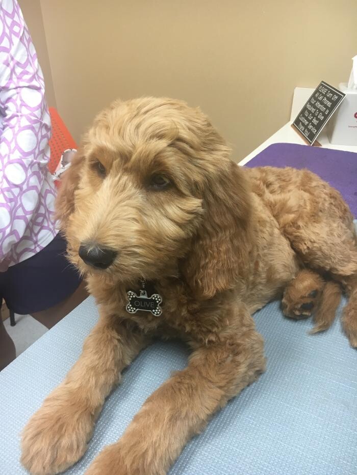 Images Cottner Creek Pet Clinic