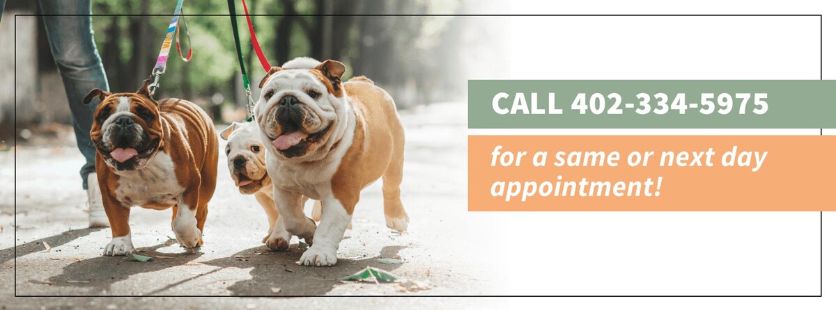 Images Cottner Creek Pet Clinic