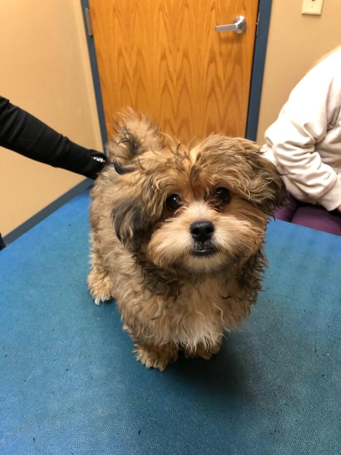 Images Cottner Creek Pet Clinic