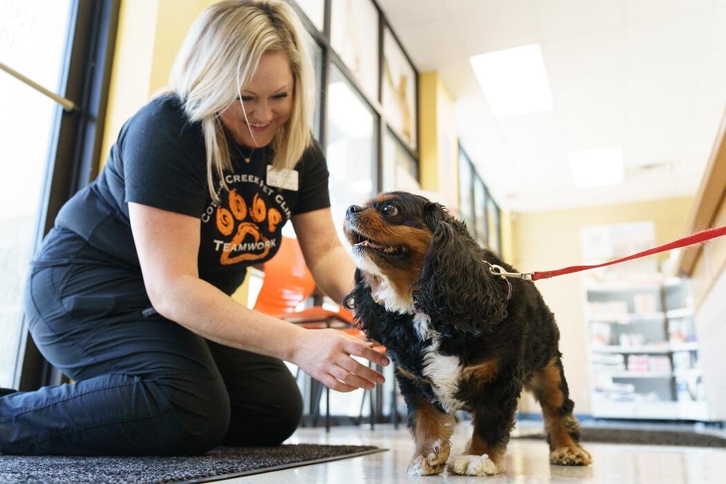 Images Cottner Creek Pet Clinic