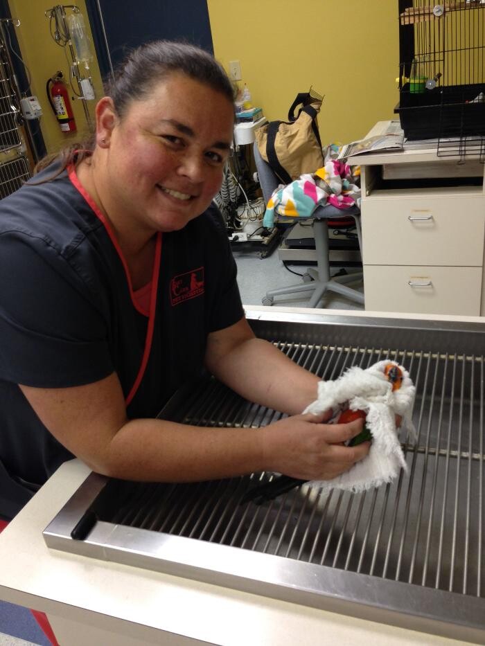 Images Cottner Creek Pet Clinic