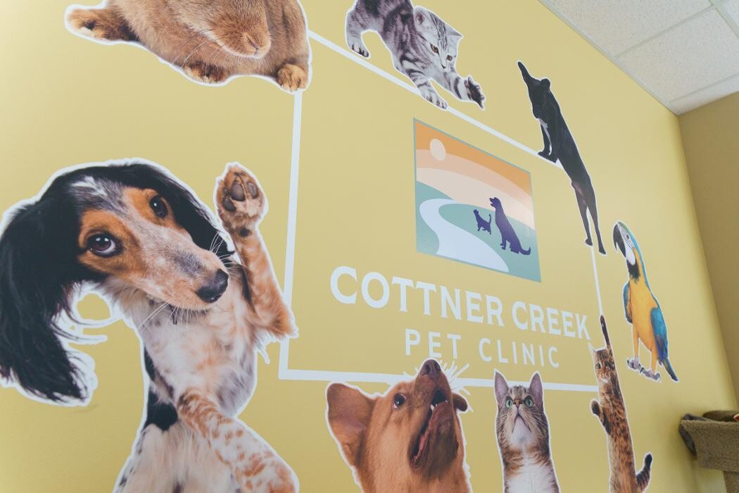 Images Cottner Creek Pet Clinic
